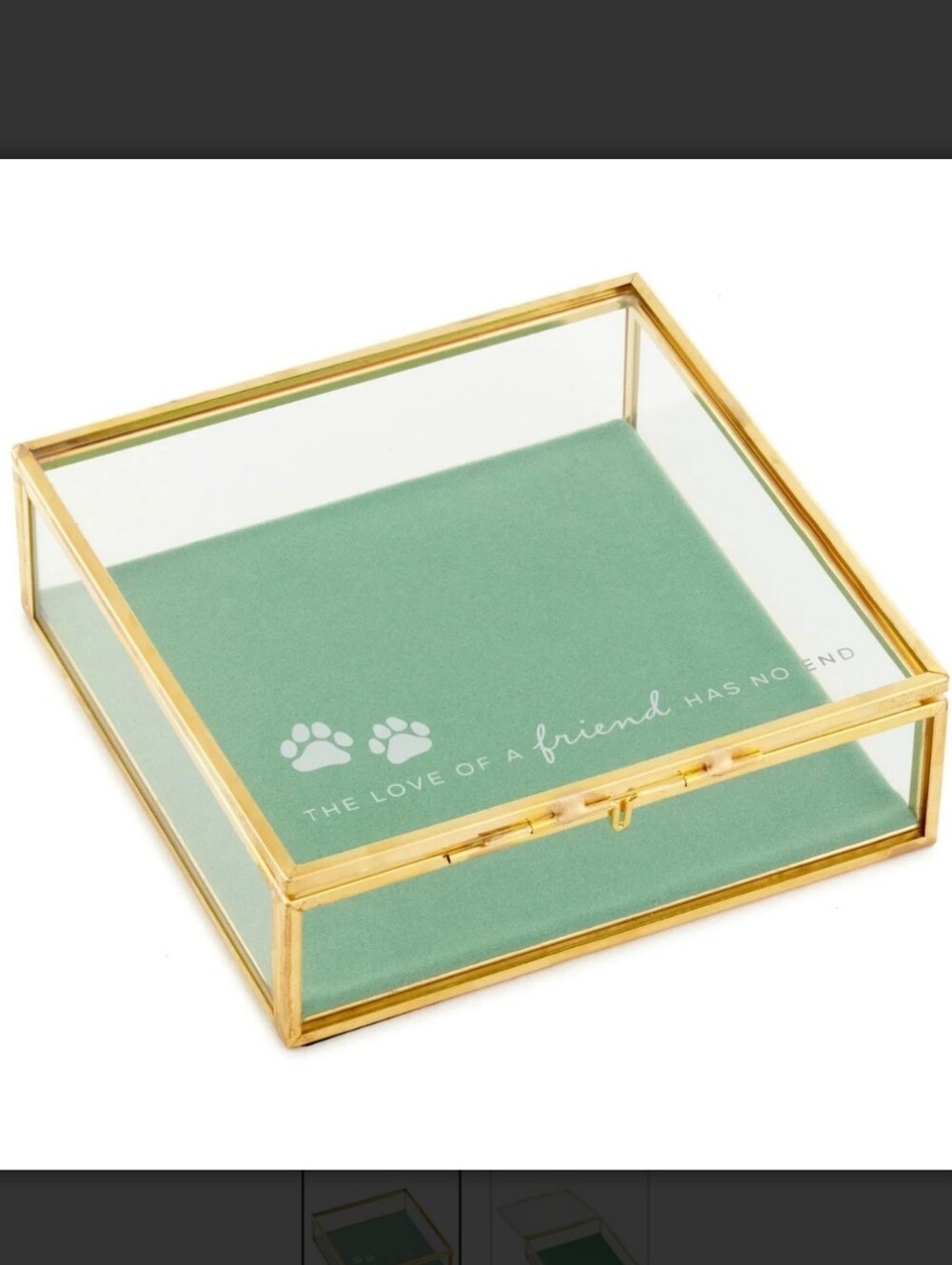 Hallmark Pet Memory Glass Display Box with Gold Frame and Mint Base New